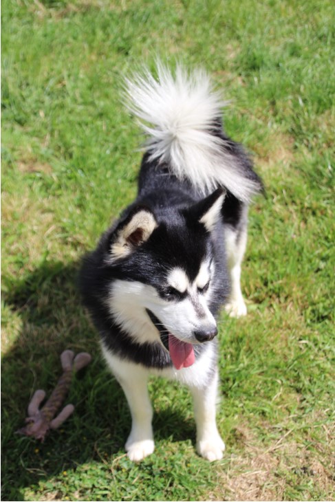 imgi_12_klee kai ourasi 2