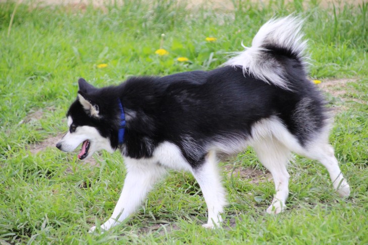 imgi_13_klee kai ourasi 3