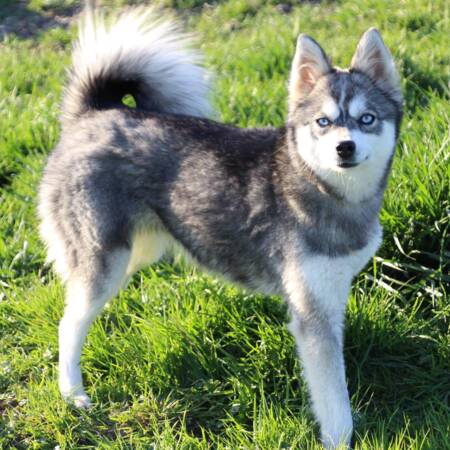 imgi_61_171257874_2948239282071468_4078980597084902512_n