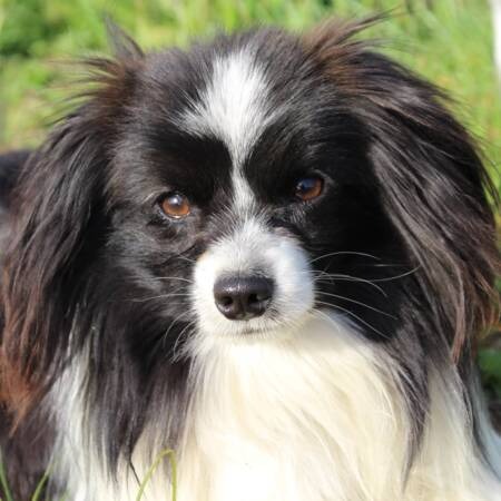 spirit-of-my-life-du-bois-d-eden (2)