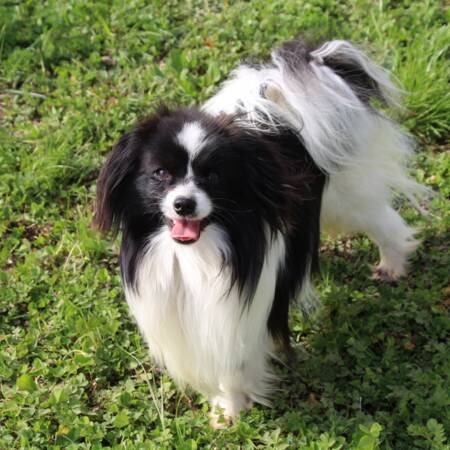 spirit-of-my-life-du-bois-d-eden (3)