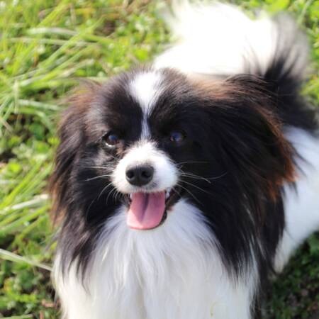 spirit-of-my-life-du-bois-d-eden